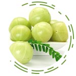 Emblica Officinalis (Amla)