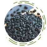 Nigella Sativa (Kalonji)