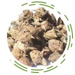 Pedalium Murex (Gokhru)