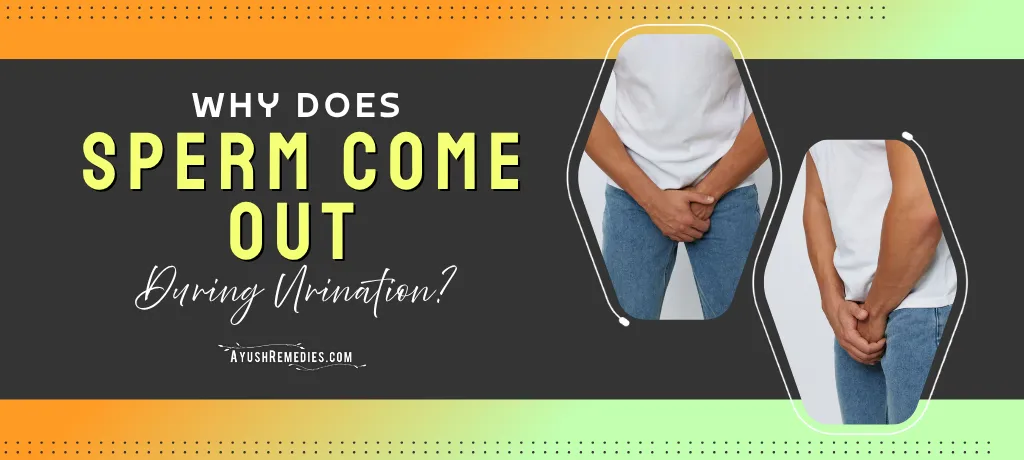 Why Does Sperm Come Out During Urination, NF Cure and Shilajit Capsules