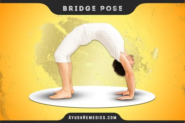bridge-pose, Setu Bandhasana, सेतुबंधासन
