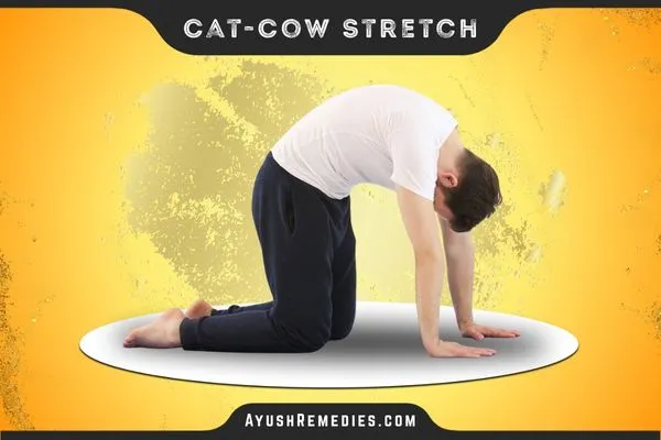 cat-cow-stretch , Marjaryasana-Bitilasana, मार्जारीआसन बिटिलासन