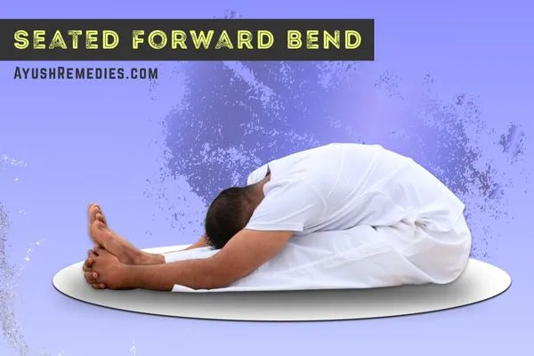 seated-forward-bend